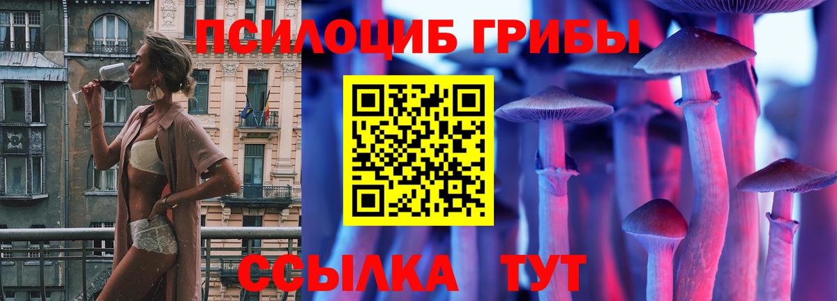Ульяновск  дарнет шоп  Вход с VPN  Псилоцибиновые грибы Magic Shrooms 